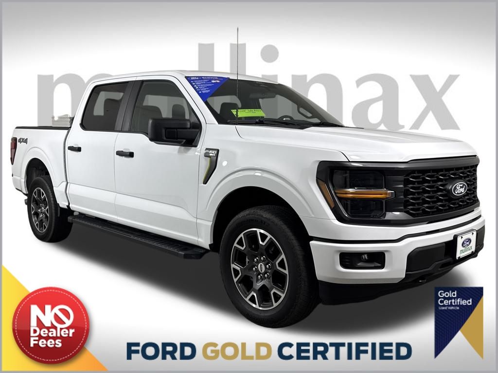 2025 Ford F-150 STX's photo
