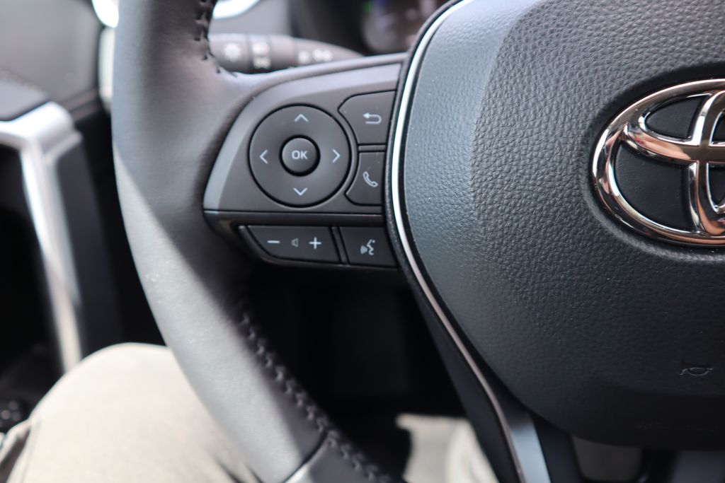 2025 Toyota RAV4 Limited 11