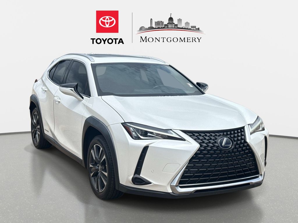 2019 Lexus UX 300h 250h AWD's photo