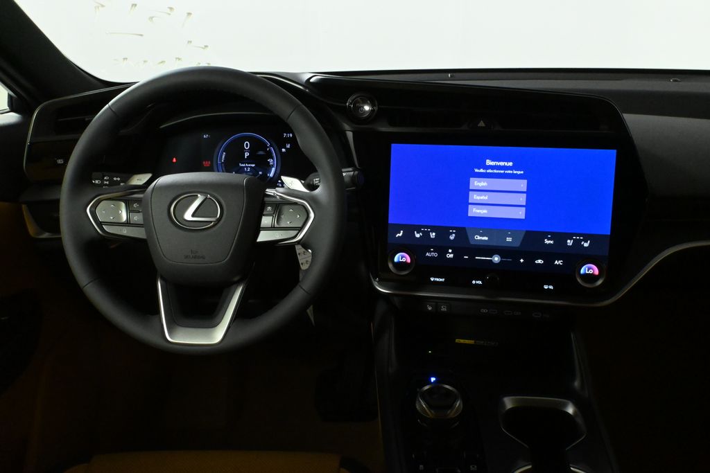 2025 Lexus RZ  18