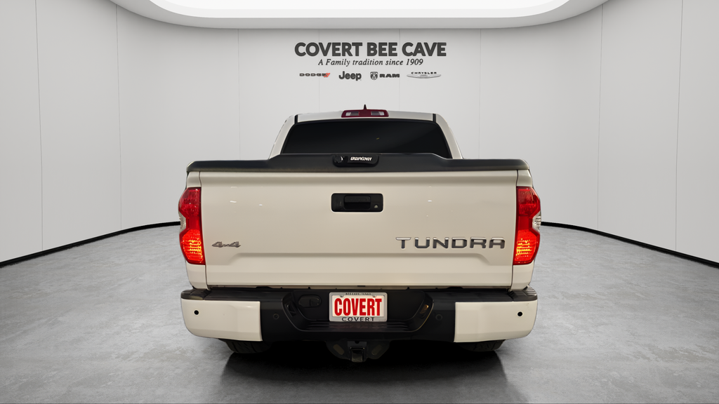 Used Car 2020 Toyota Tundra  Platinum For Sale Under $50,000 In Austin, Texas