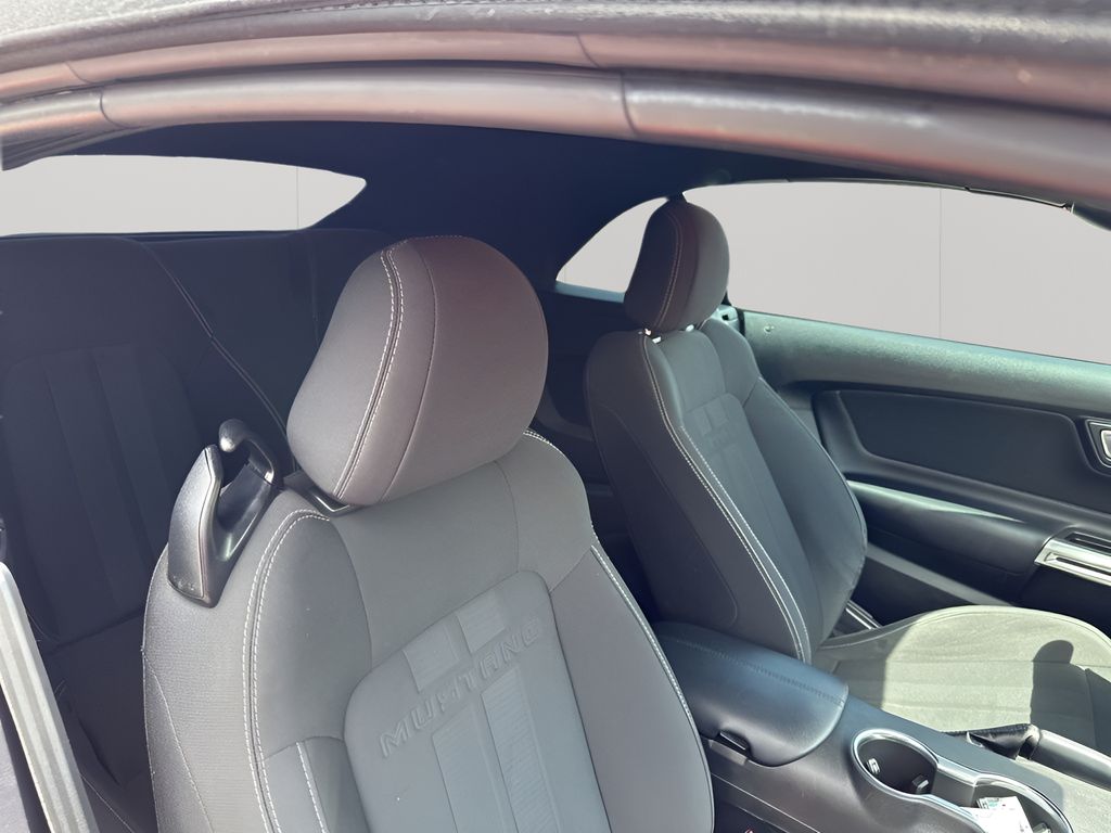 Used Car 2020 Ford Mustang  Ecoboost For Sale Under $25,000 In Austin, Texas