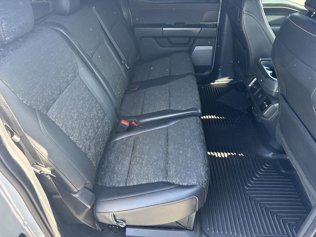 2024 Avalanche Ford F-150 Tremor 4X4 Truck