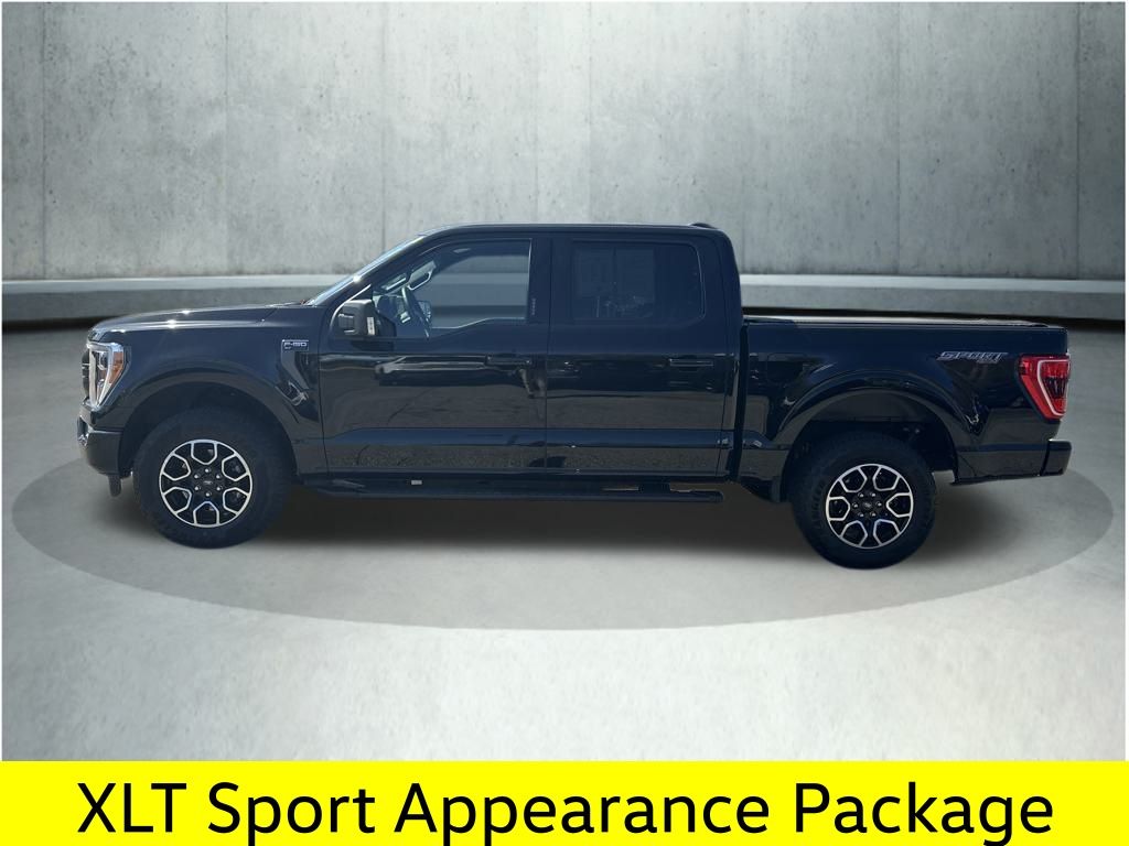 Used 2023 Ford F-150 XLT with VIN 1FTEW1EPXPFB70955 for sale in Saco, ME