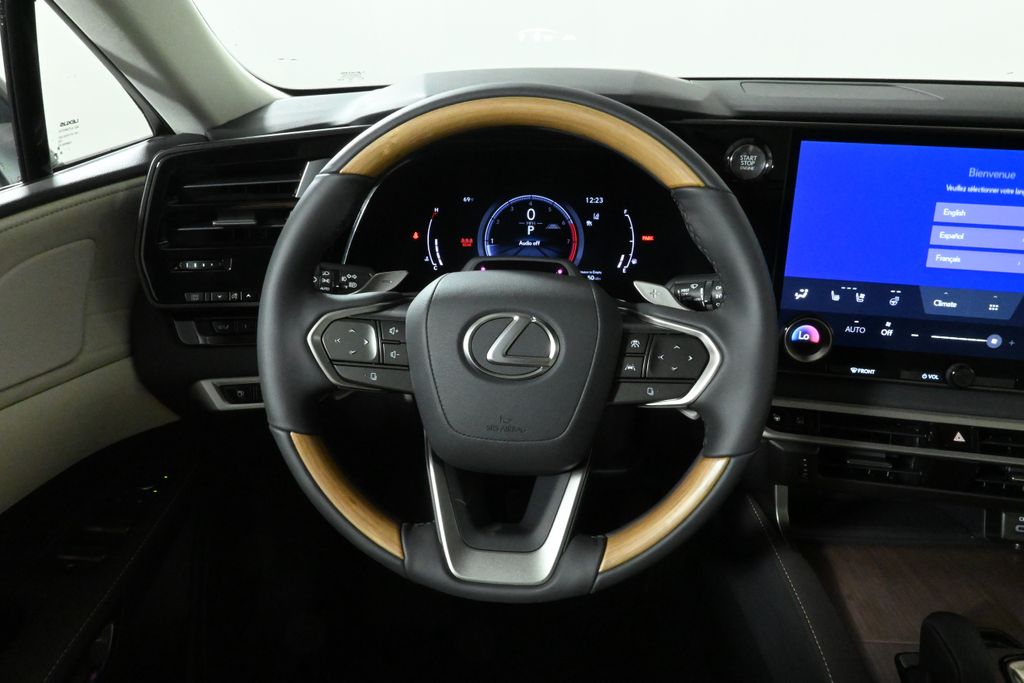 2024 Lexus RX 350 18