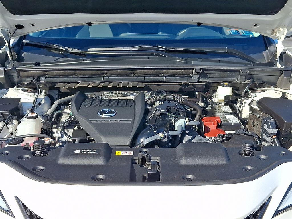 2024 Lexus NX 350 Base White at John Sisson Motors