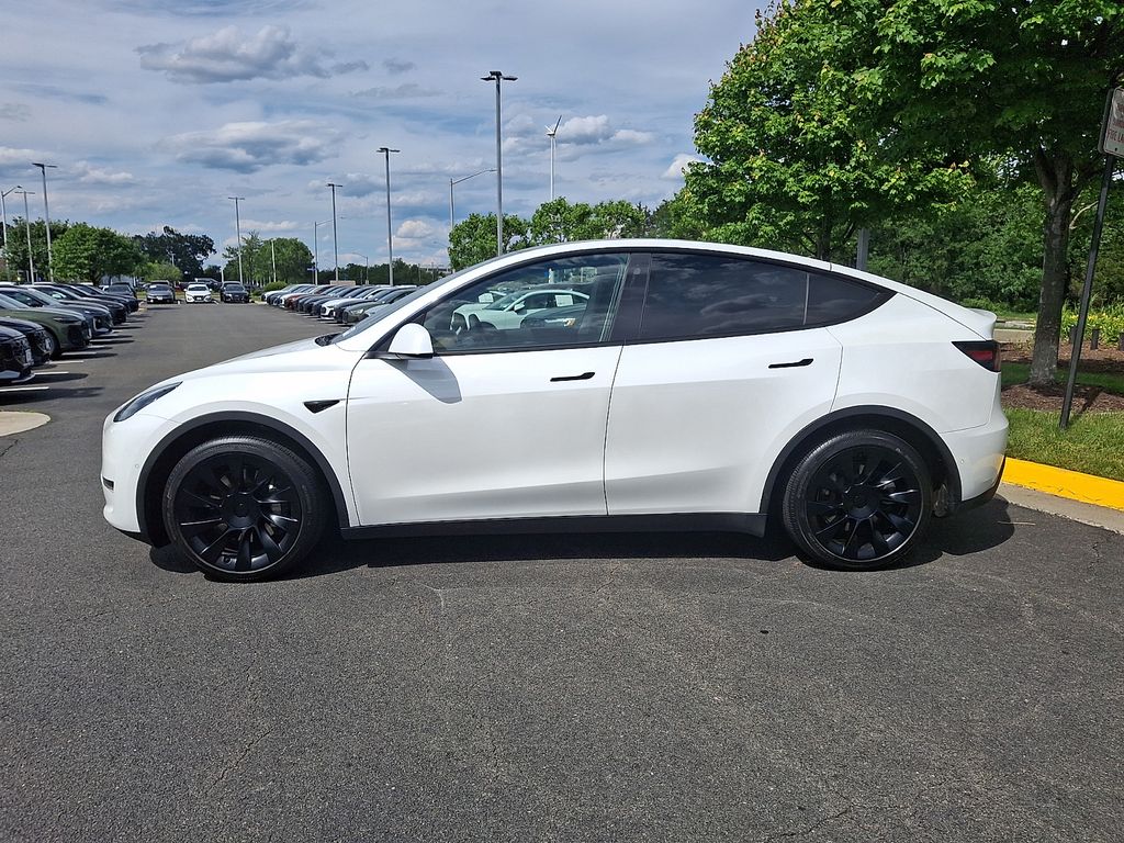 Thumbnail: 2021 Tesla Model Y - 5