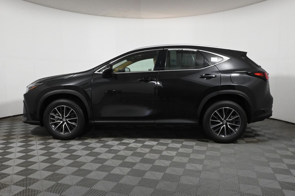 2024 Lexus NX 350 2