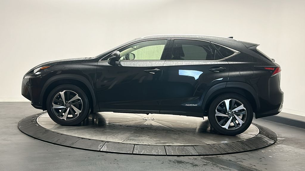 2020 Lexus NX Hybrid 300h 4