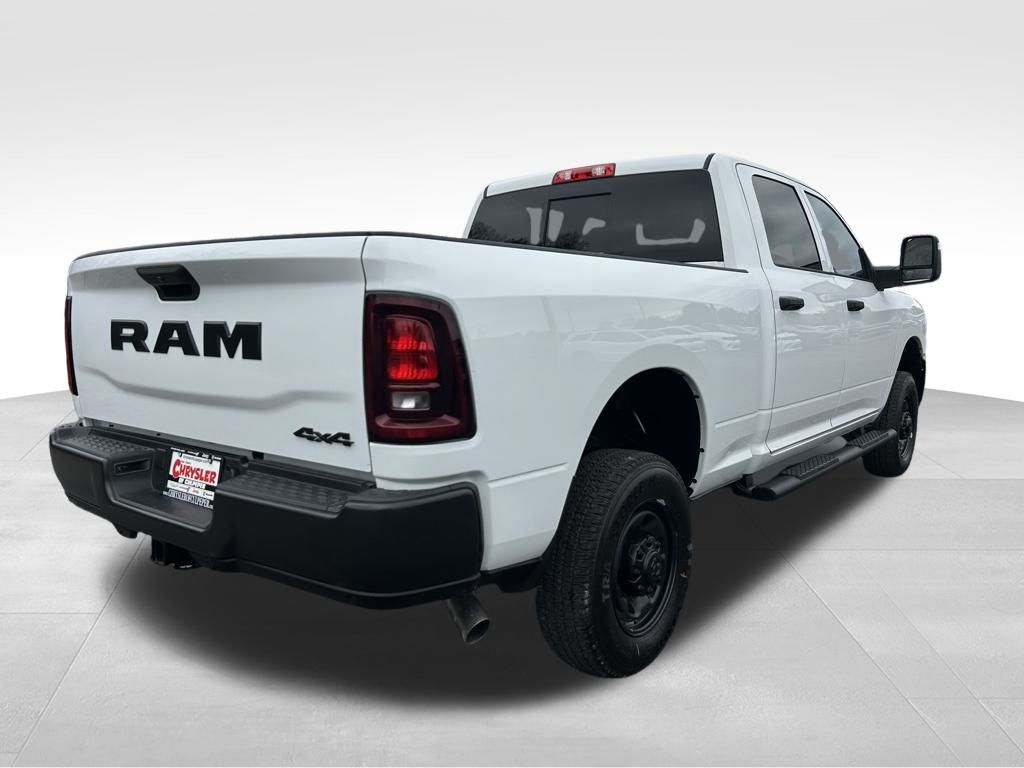 Ram250019