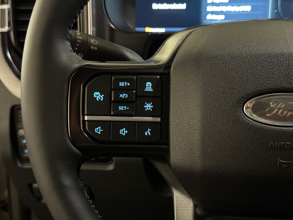New 2026 Gray Ford Platinum image 38