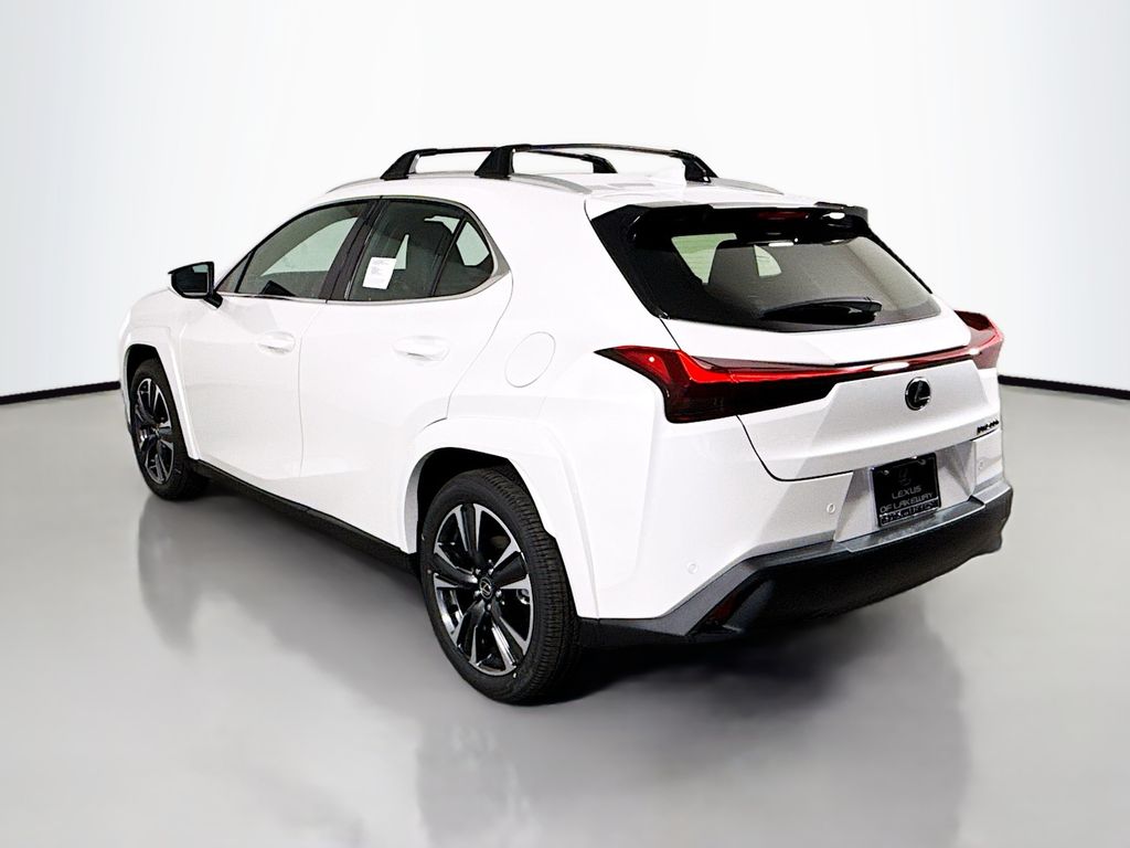 2025 Lexus UX 300h 7