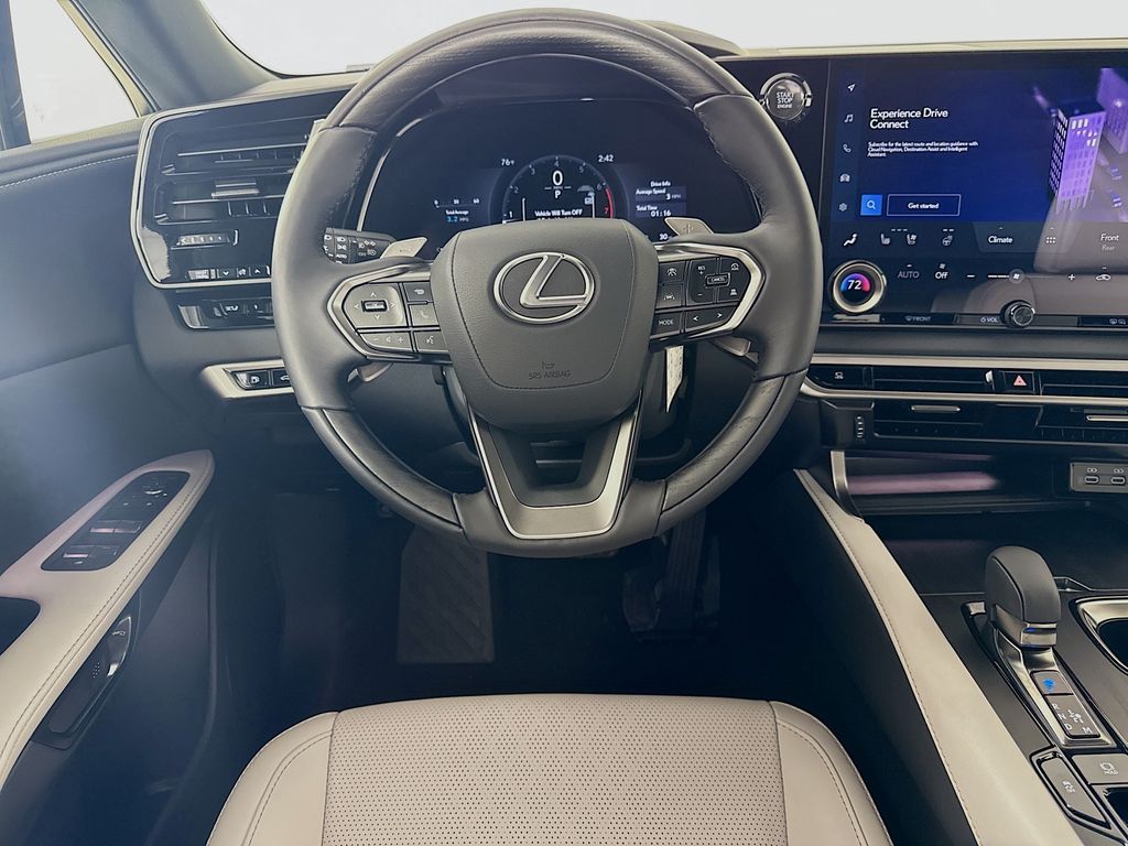 2025 Lexus RX 350 Premium+ 19