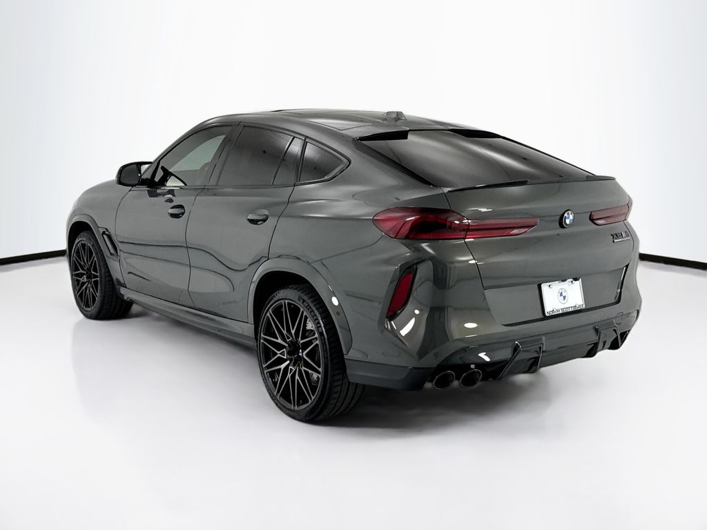Thumbnail: 2025 BMW X6 - 7