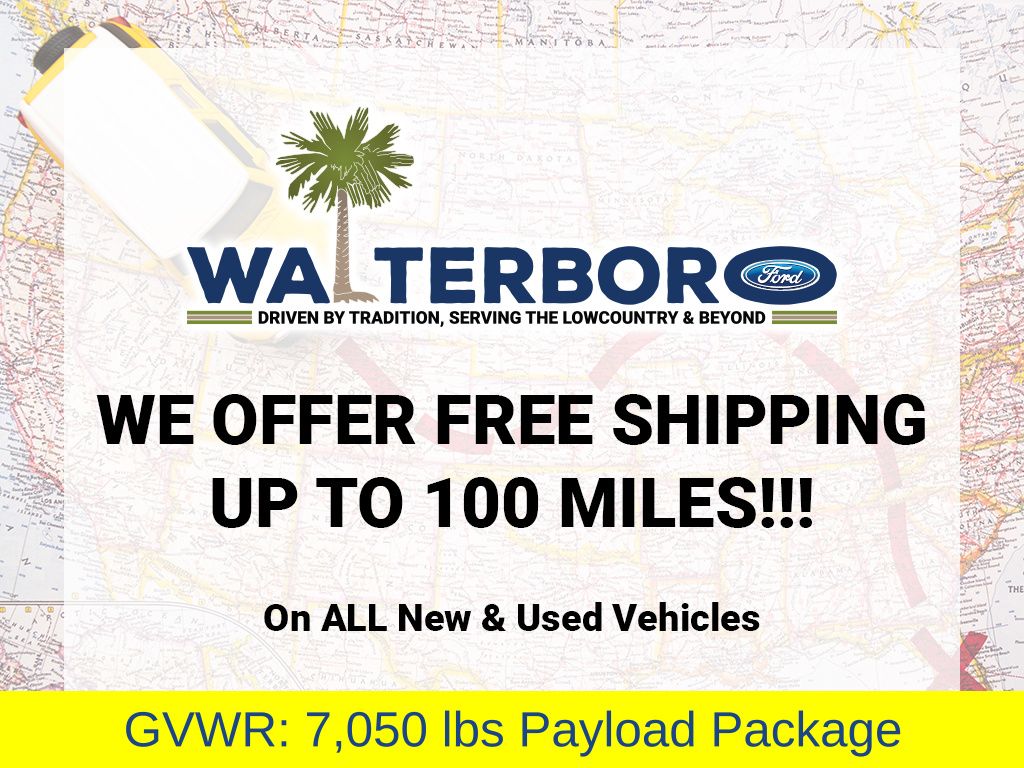 2018 Ford F-150 Raptor Gray at Walterboro Ford