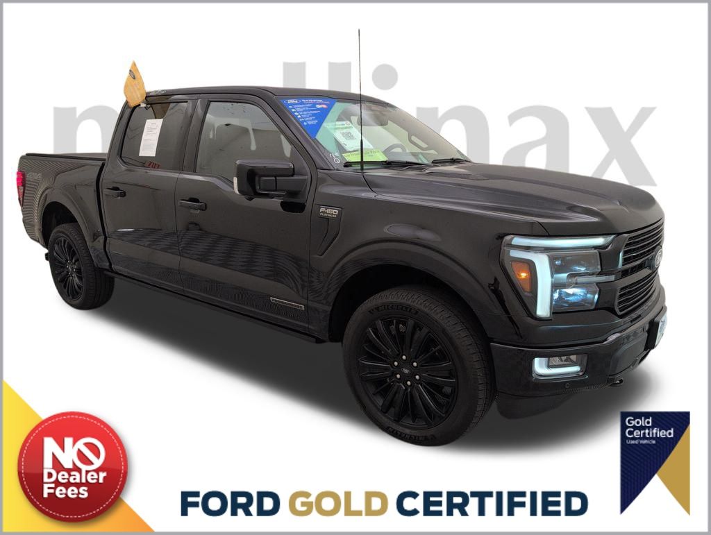 2025 Ford F-150 Platinum's photo