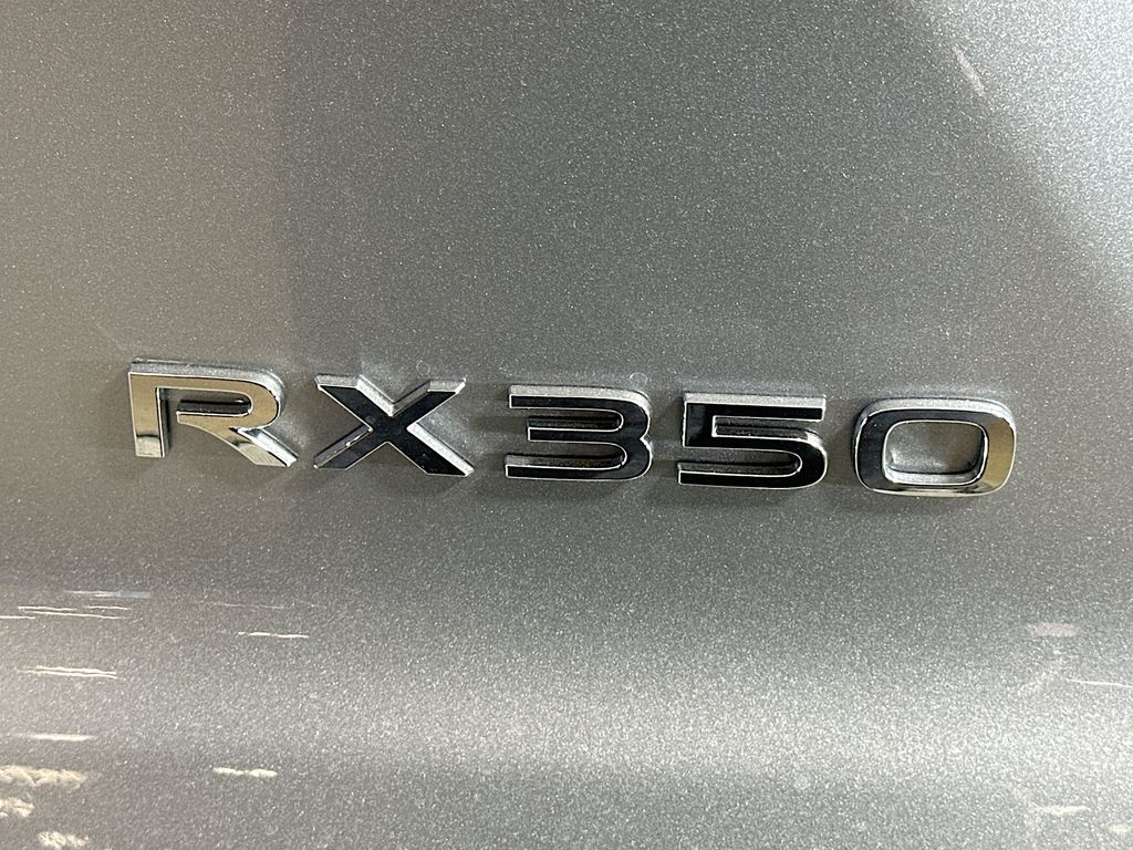 2025 Lexus RX 350 22