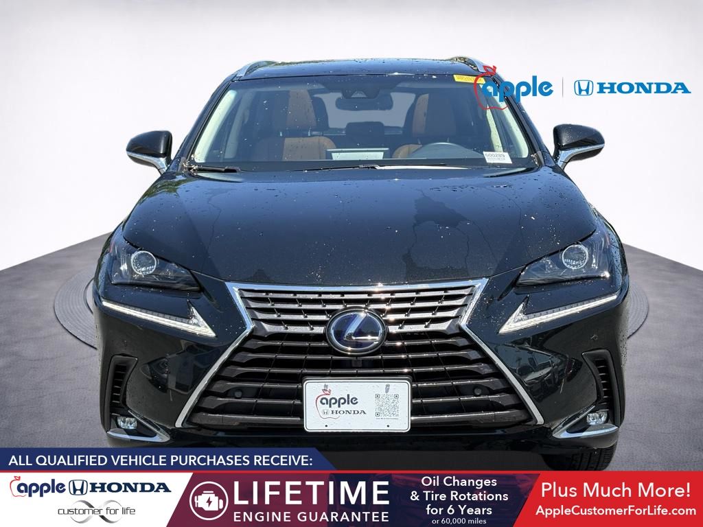 2019 Lexus NX 300h 