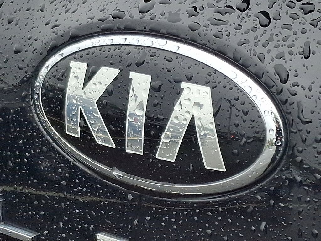 2020 Kia Telluride S 30