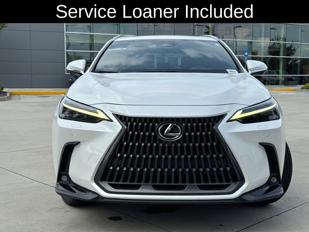 2024 Lexus NX 350h Luxury White Pearl - Jim Hudson Acura - Image 4