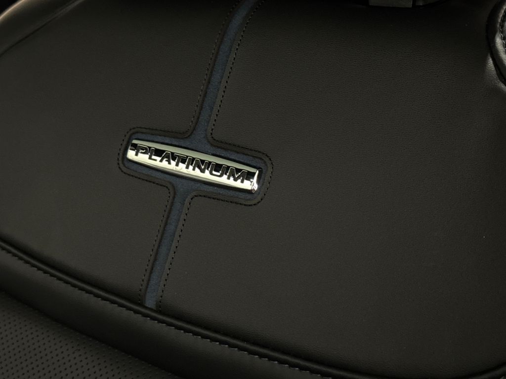 New 2026 Blue Ford Platinum image 26