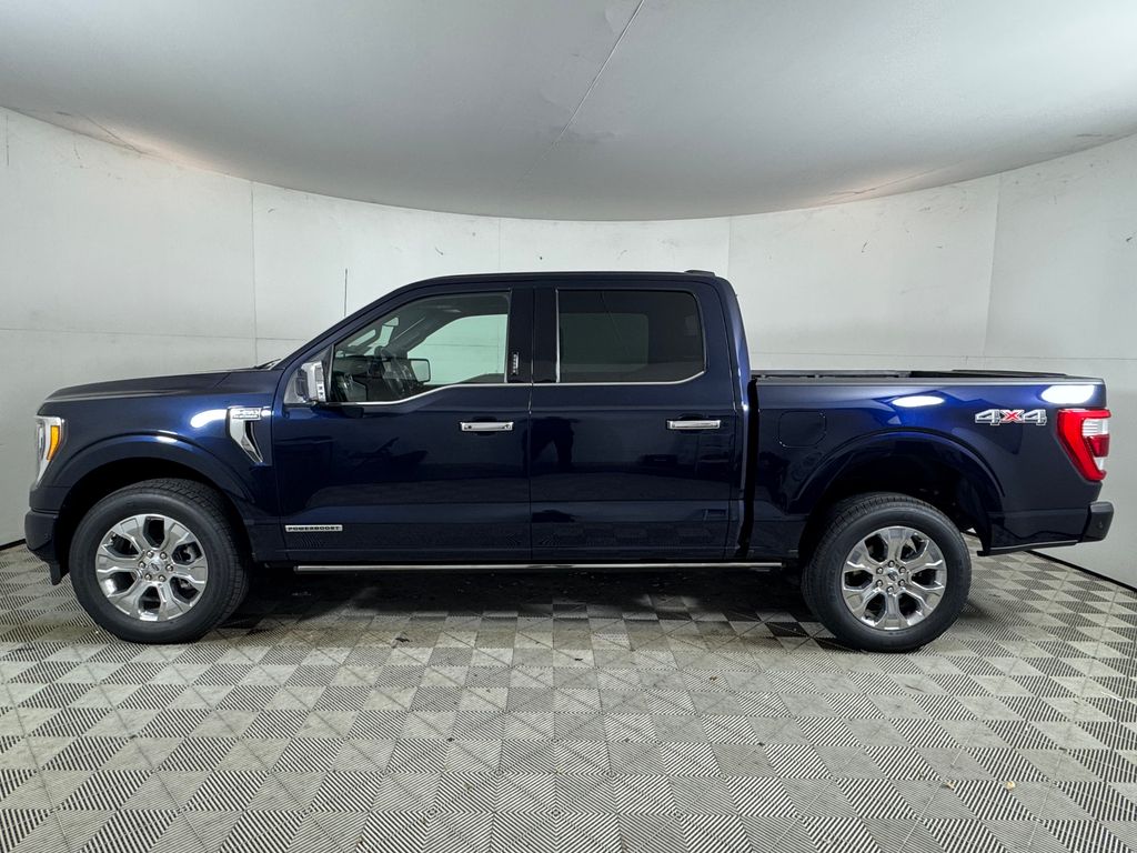 Certified Used 2023 Blue Ford Platinum image 8
