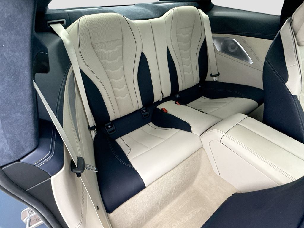 Thumbnail: 2019 BMW 8 Series - 21