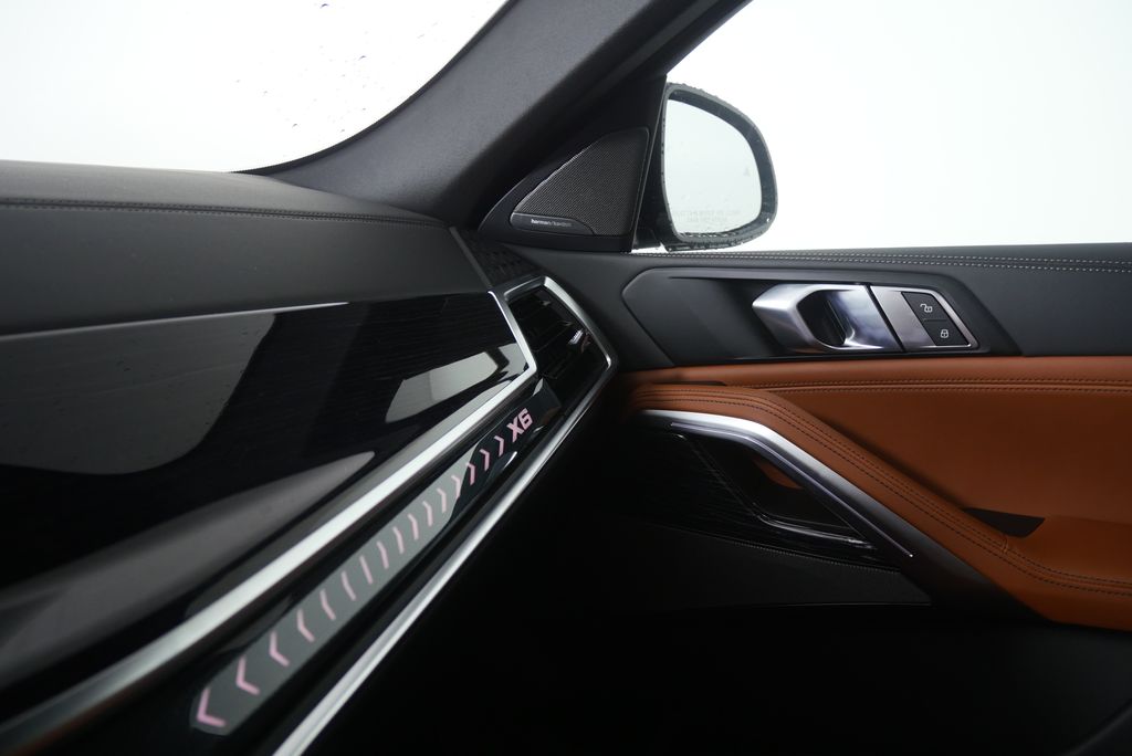 Thumbnail: 2027 BMW X6 - 24