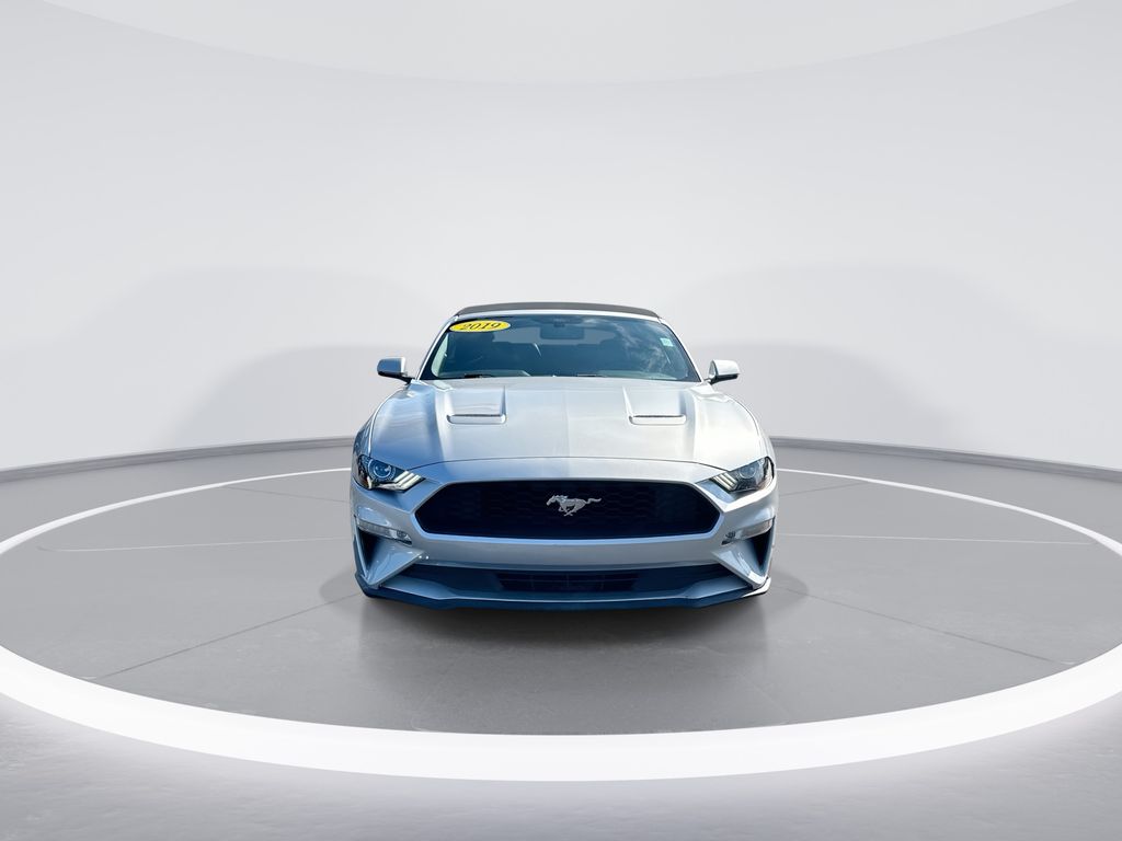 2019 Ford Mustang EcoBoost Premium - 2