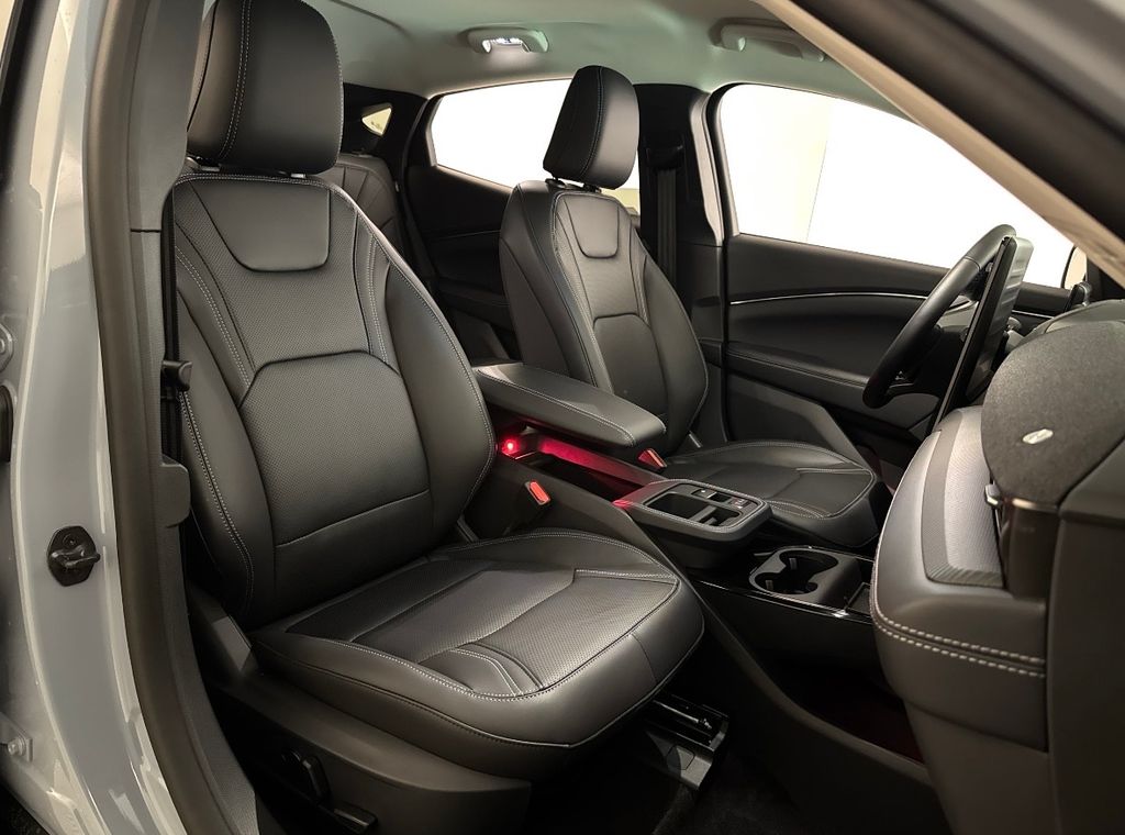 New 2026 Gray Ford Premium image 27