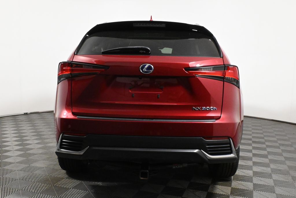 2019 Lexus NX Hybrid 300h 6