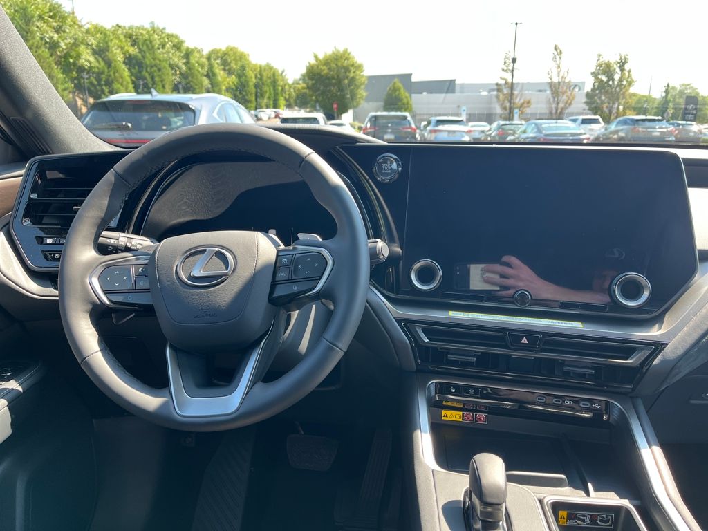 2025 Lexus TX 350 Luxury photo 10