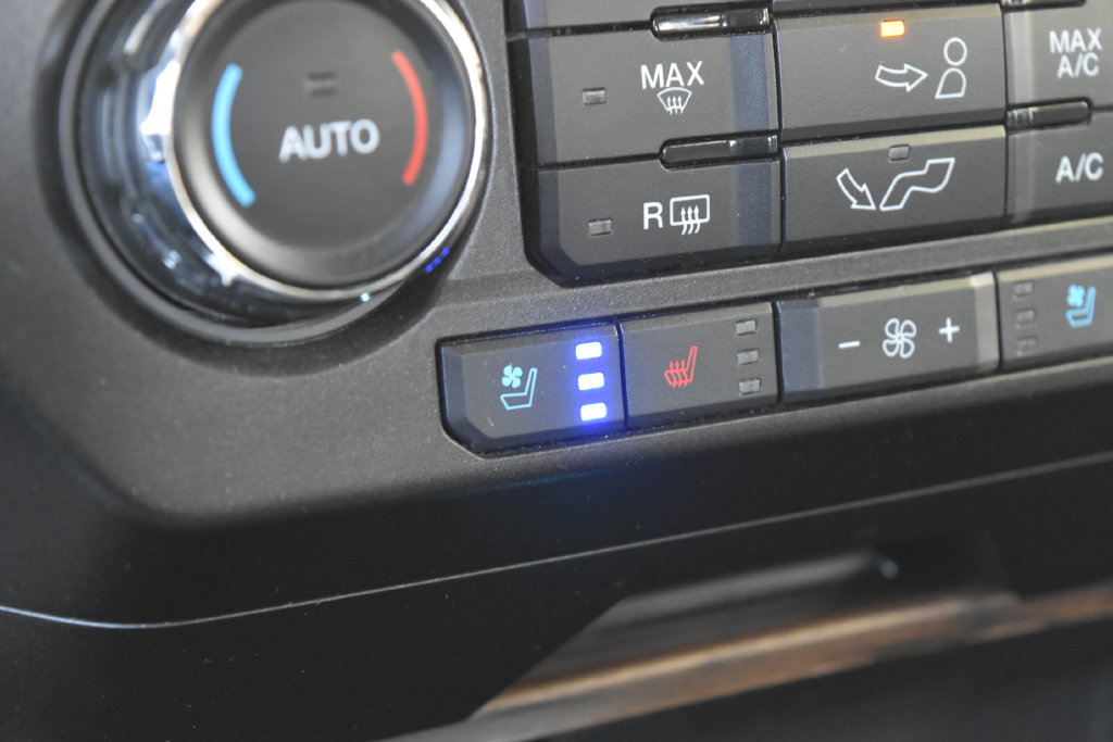 Used 2019 Ford F-150 Truck