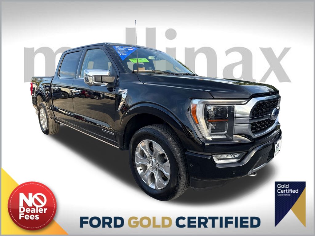 2023 Ford F-150 Platinum's photo