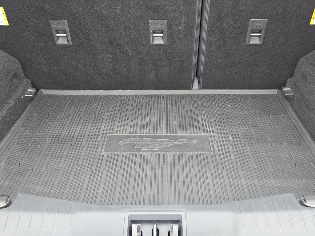 2021 Ford Mustang Mach-E