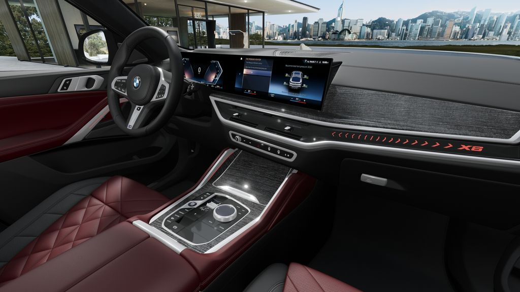 Thumbnail: 2027 BMW X6 - 14
