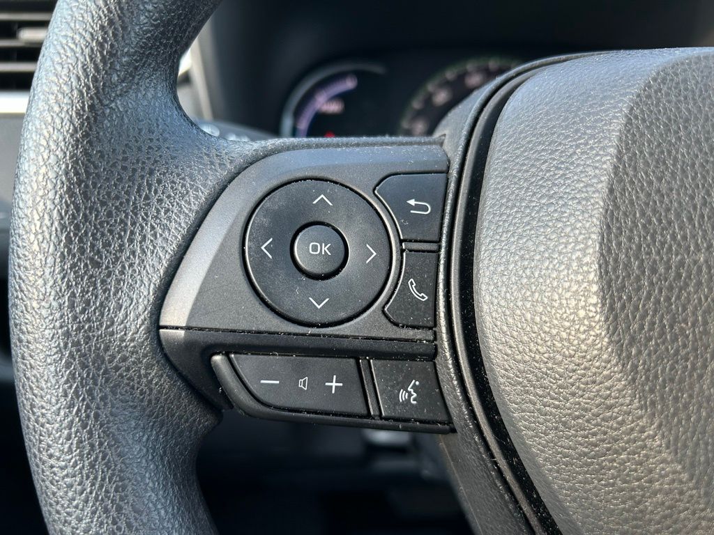 2024 Toyota RAV4 LE 19