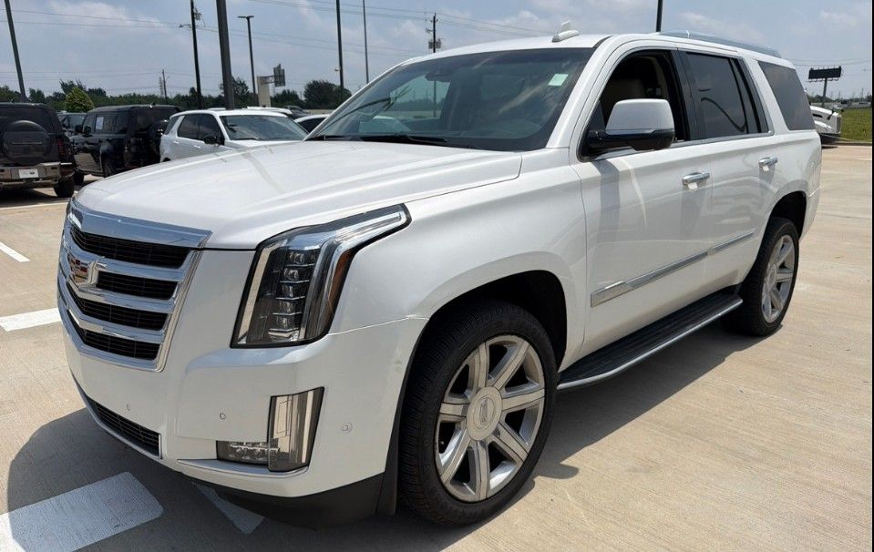 2019 Cadillac Escalade 2WD Luxury's photo
