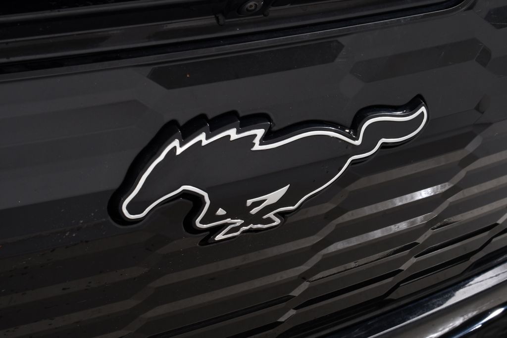 Used 2025 Black Ford GT Electric image 21