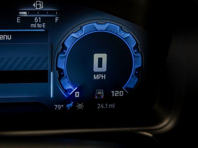 New 2025 White Ford Stroppe Edition image 32