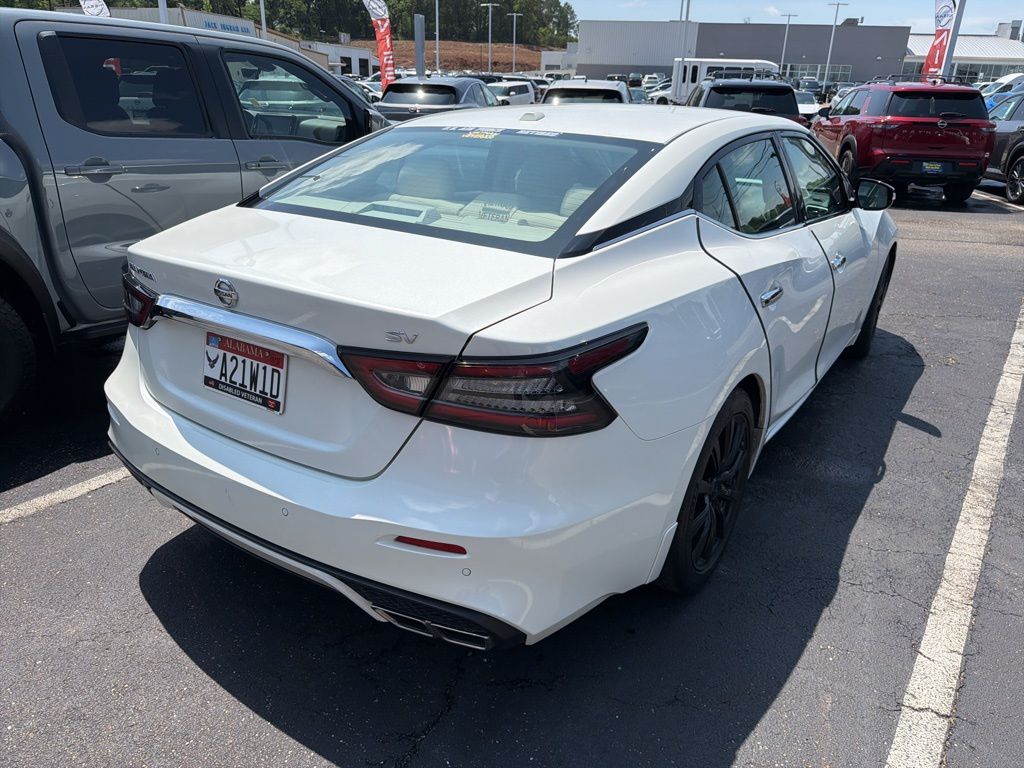 used 2020 Nissan Maxima car