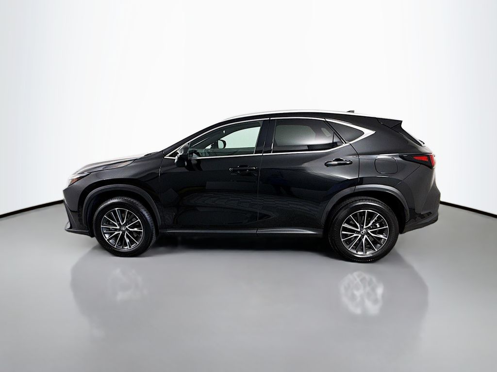 2025 Lexus NX 250 8