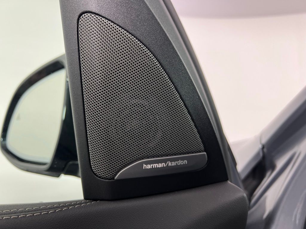 Thumbnail: 2025 BMW X5 - 17