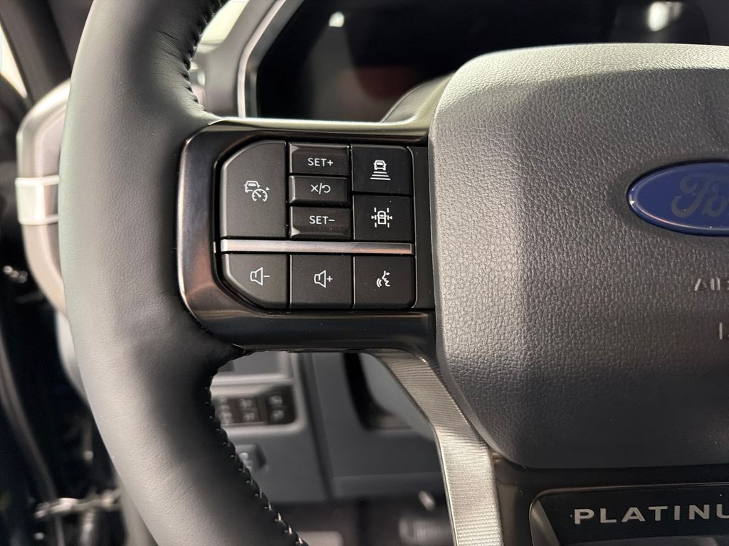 New 2026 Black Ford Platinum image 19