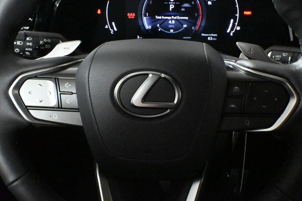 2025 Lexus NX 350 Luxury 19