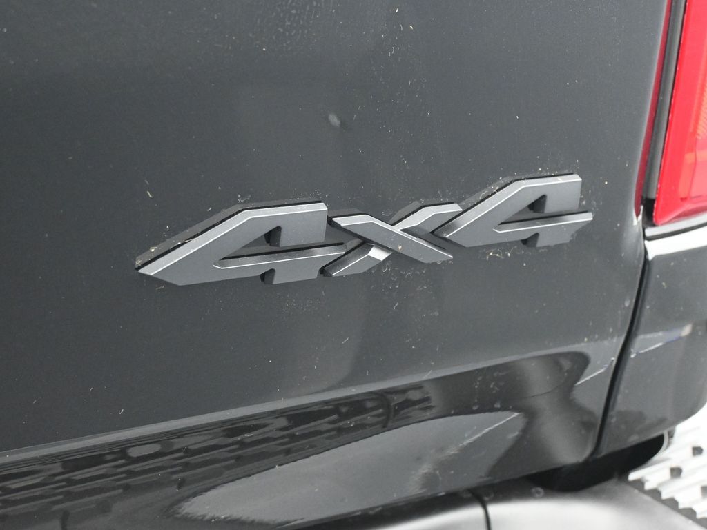 New 2026 Diamond Black Crystal Pearlcoat Ram RHO image 30