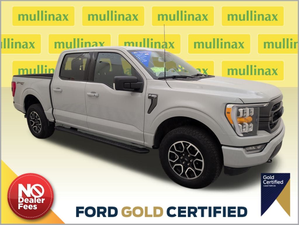 2023 Ford F-150 XLT's photo