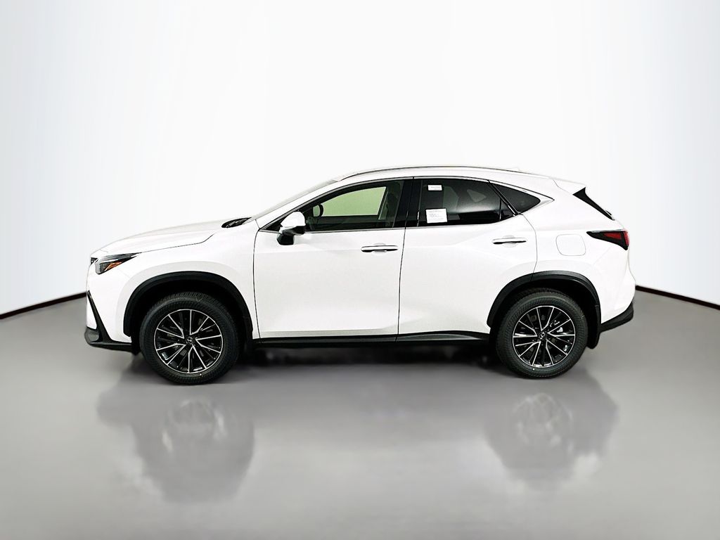 2025 Lexus NX 250 8