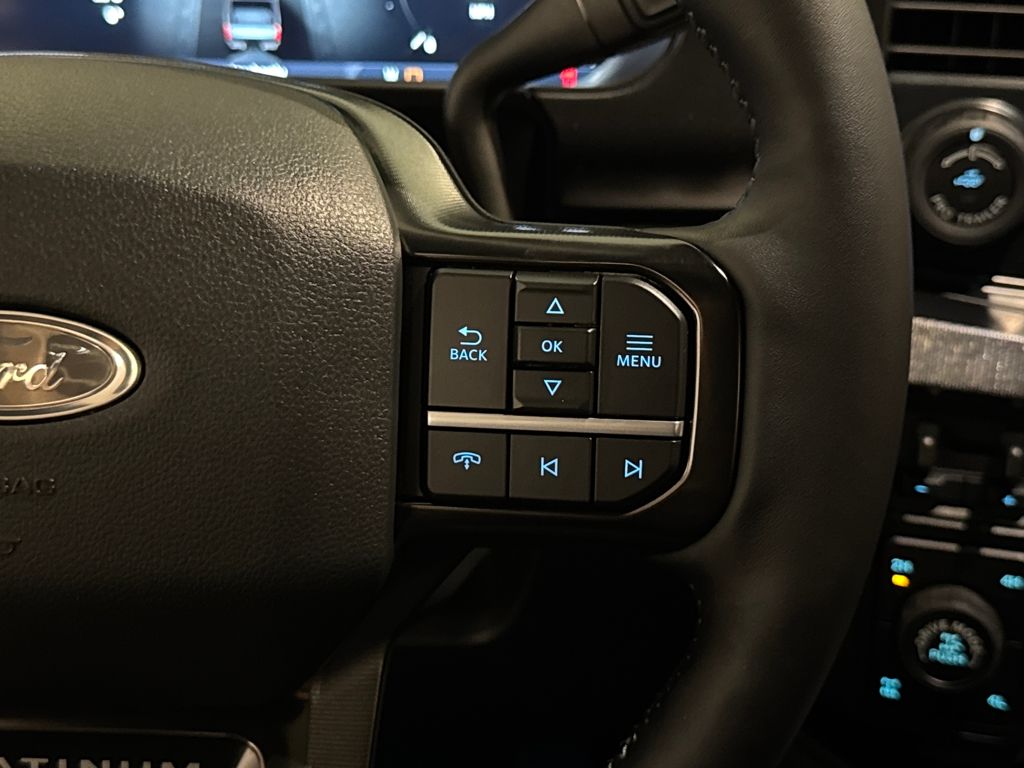 New 2026 Blue Ford Platinum image 42