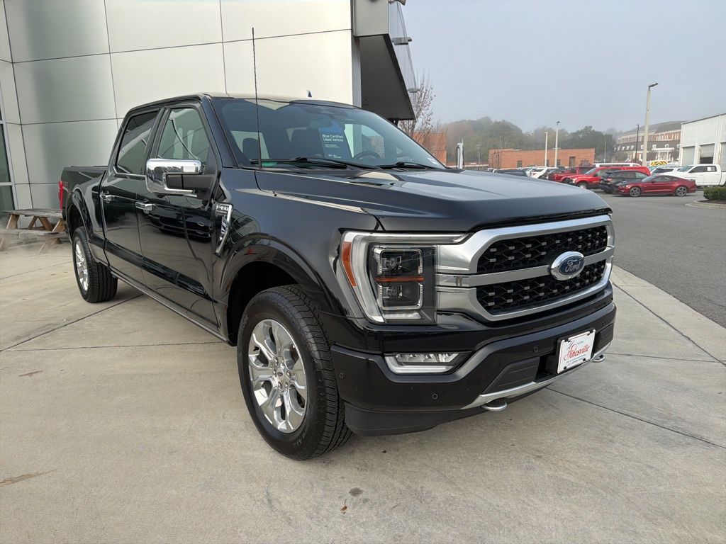 2023 Ford F-150 Platinum's photo